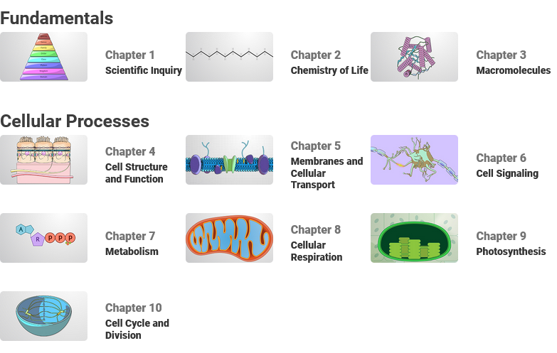 Screenshot showcasing some of the videos featured in JoVE: Core Biology