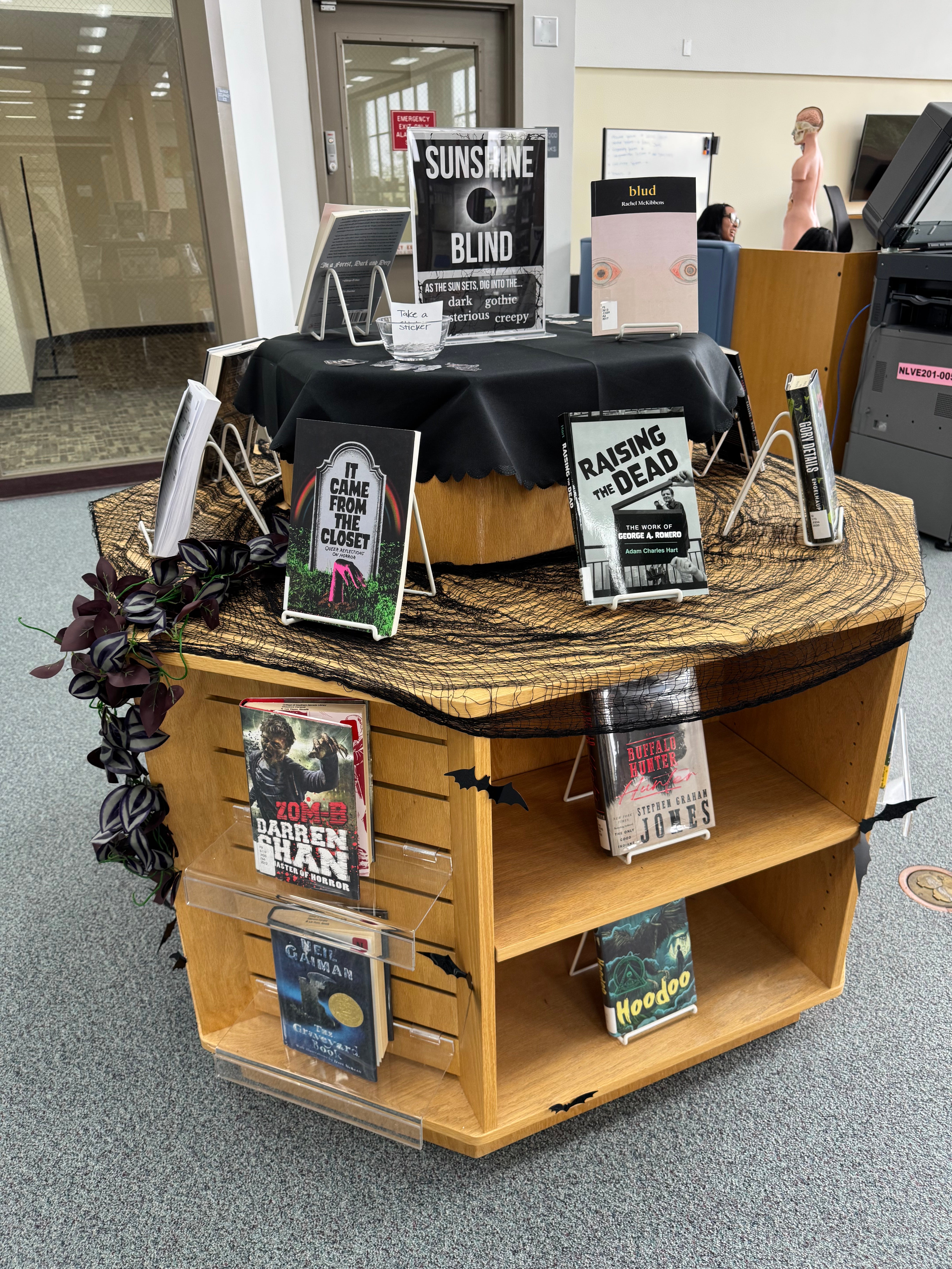 North LV Display