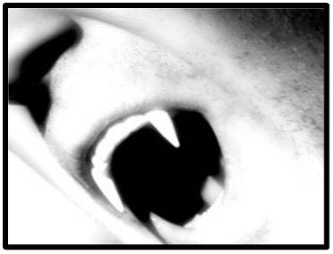 Vampire: Is it Real?