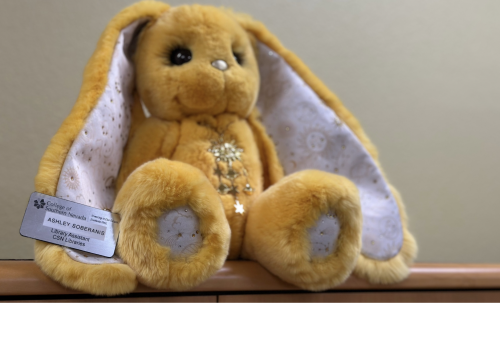 Ashley Plushie